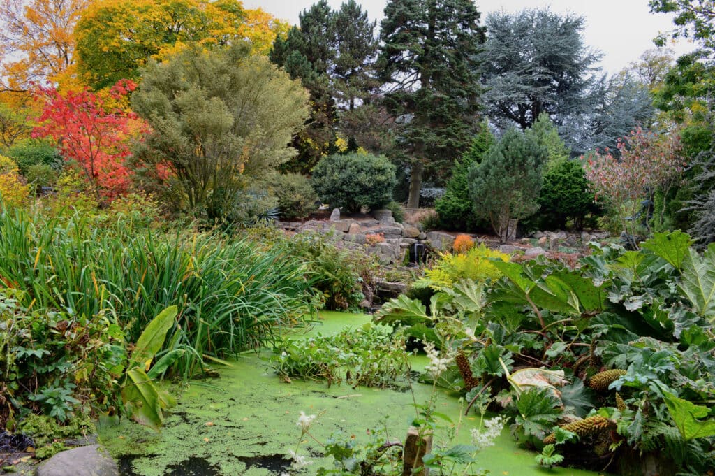 Sheffield Botanical Gardens